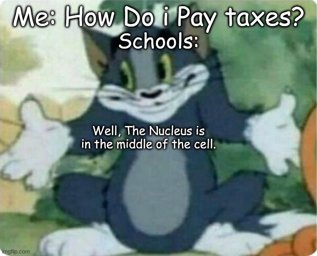 I dunno... | Me: How Do i Pay taxes? Schools:; Well, The Nucleus is in the middle of the cell. | image tagged in tom shrugging | made w/ Imgflip meme maker