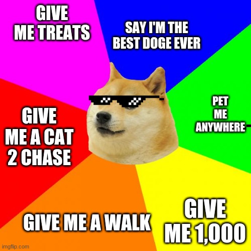 Advice Doge | GIVE ME TREATS; SAY I'M THE BEST DOGE EVER; PET ME ANYWHERE; GIVE ME A CAT 2 CHASE; GIVE ME 1,000; GIVE ME A WALK | image tagged in memes,advice doge,dogs,animals | made w/ Imgflip meme maker