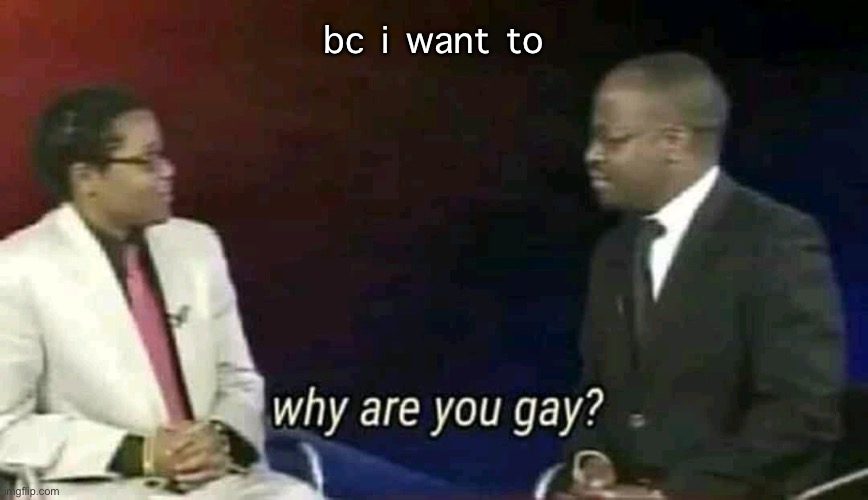 lmaooo |  bc i want to | image tagged in why are you gay | made w/ Imgflip meme maker