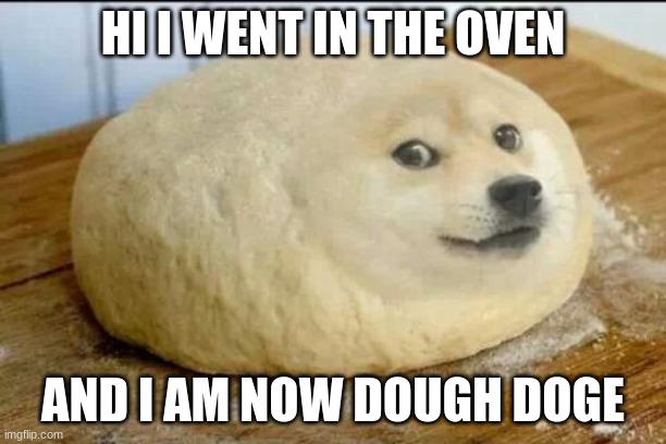 dough doge | HI I WENT IN THE OVEN; AND I AM NOW DOUGH DOGE | image tagged in dough doge,memes,funny,dogs,animals | made w/ Imgflip meme maker
