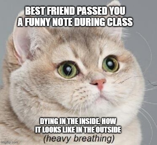 Me | BEST FRIEND PASSED YOU A FUNNY NOTE DURING CLASS; DYING IN THE INSIDE. HOW IT LOOKS LIKE IN THE OUTSIDE | image tagged in memes,heavy breathing cat,best friend,cat,class,relatable | made w/ Imgflip meme maker