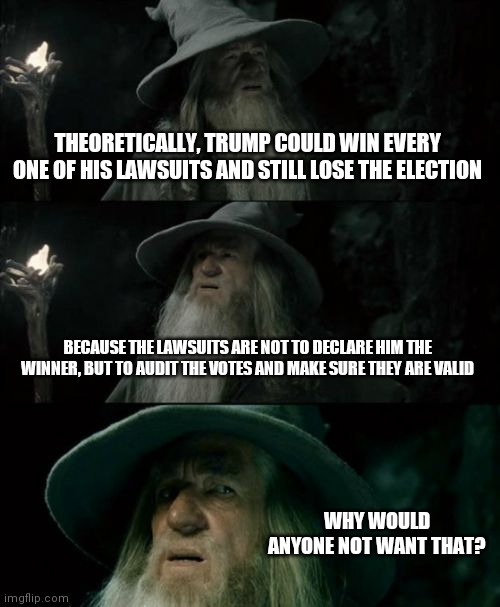 Confused Gandalf | THEORETICALLY, TRUMP COULD WIN EVERY ONE OF HIS LAWSUITS AND STILL LOSE THE ELECTION; BECAUSE THE LAWSUITS ARE NOT TO DECLARE HIM THE WINNER, BUT TO AUDIT THE VOTES AND MAKE SURE THEY ARE VALID; WHY WOULD ANYONE NOT WANT THAT? | image tagged in memes,confused gandalf | made w/ Imgflip meme maker