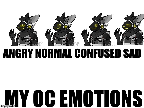 Blank White Template | ANGRY NORMAL CONFUSED SAD; MY OC EMOTIONS | image tagged in blank white template | made w/ Imgflip meme maker