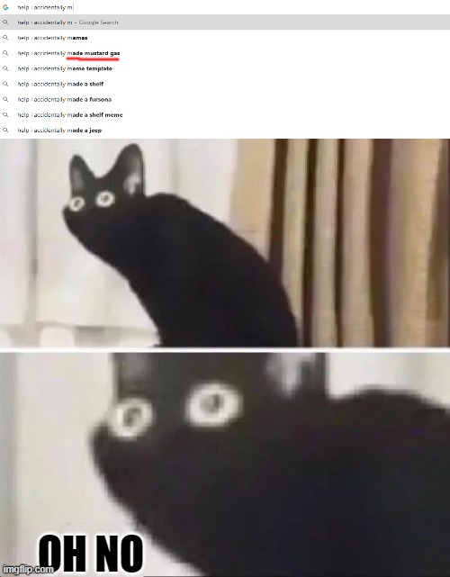 Google, you're pretty crafty | OH NO | image tagged in oh no black cat,memes,jeep,mustard,google search | made w/ Imgflip meme maker