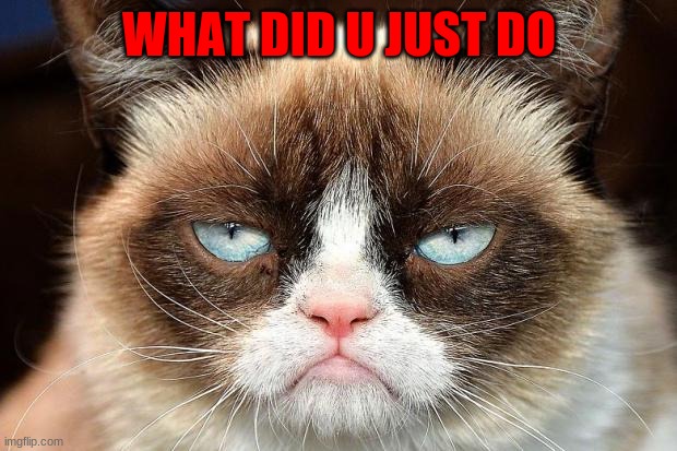 WHAT DID U JUST DO | image tagged in memes,grumpy cat not amused,grumpy cat | made w/ Imgflip meme maker