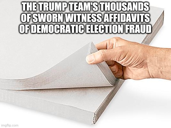 THE TRUMP TEAM'S THOUSANDS OF SWORN WITNESS AFFIDAVITS OF DEMOCRATIC ELECTION FRAUD | image tagged in blank,trump lies,trump fake news,nothing burger | made w/ Imgflip meme maker