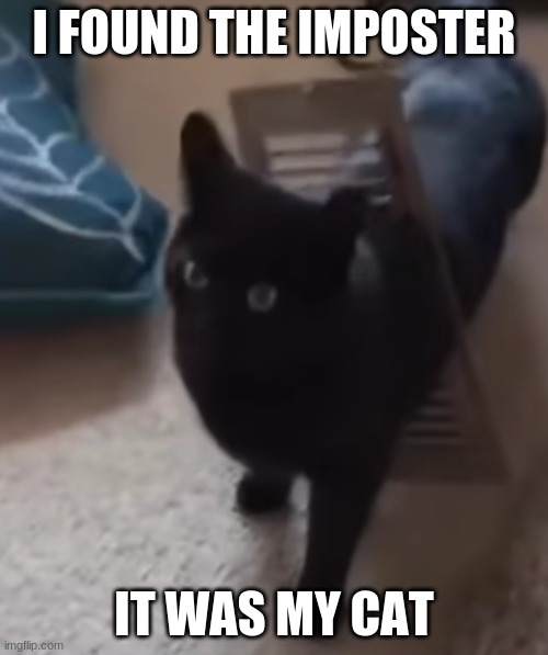 I found the imposter | I FOUND THE IMPOSTER; IT WAS MY CAT | image tagged in among us | made w/ Imgflip meme maker