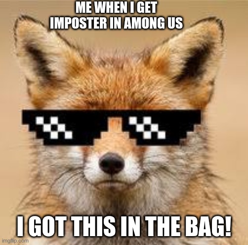 me | ME WHEN I GET IMPOSTER IN AMONG US; I GOT THIS IN THE BAG! | image tagged in cool fox | made w/ Imgflip meme maker