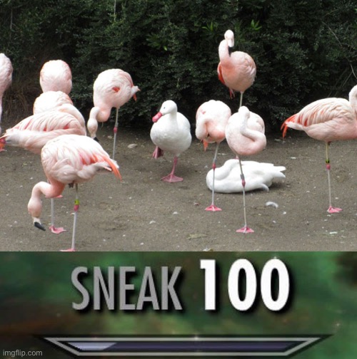 Sneaky | image tagged in sneak 100 | made w/ Imgflip meme maker