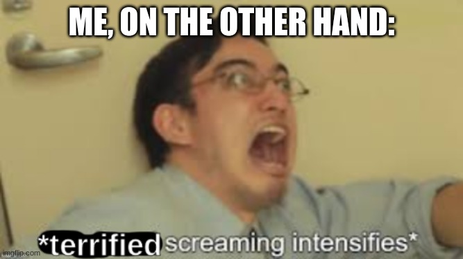 *Terrified Screaming Intensifies* | ME, ON THE OTHER HAND: | image tagged in terrified screaming intensifies | made w/ Imgflip meme maker