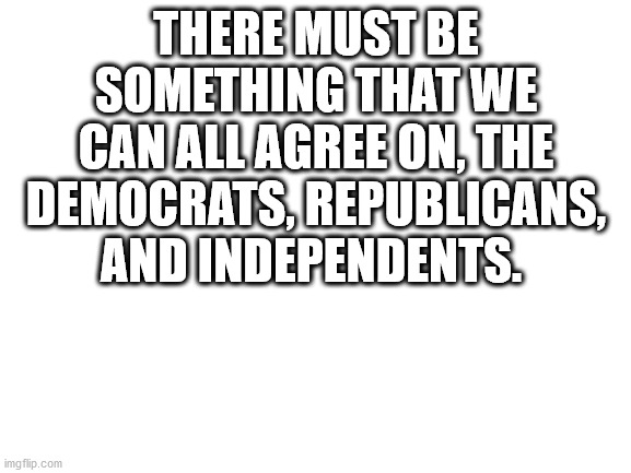 Blank White Template | THERE MUST BE SOMETHING THAT WE CAN ALL AGREE ON, THE DEMOCRATS, REPUBLICANS, AND INDEPENDENTS. | image tagged in blank white template | made w/ Imgflip meme maker