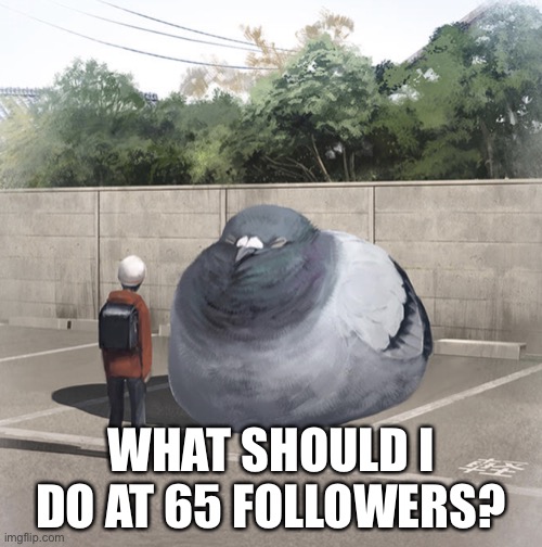 Beeg Birb | WHAT SHOULD I DO AT 65 FOLLOWERS? | image tagged in beeg birb | made w/ Imgflip meme maker