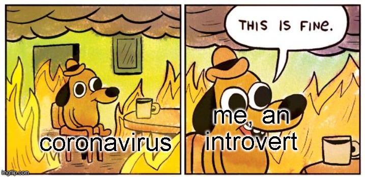 This Is Fine | me, an introvert; coronavirus | image tagged in memes,this is fine | made w/ Imgflip meme maker