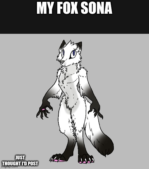 Im Not Dead (Art from template by samalamb on Devian art) | MY FOX SONA; JUST THOUGHT I'D POST | image tagged in furry,art,not dead | made w/ Imgflip meme maker