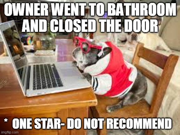 Dog yelp | OWNER WENT TO BATHROOM AND CLOSED THE DOOR; *  ONE STAR- DO NOT RECOMMEND | image tagged in dog,yelp,review,funny | made w/ Imgflip meme maker