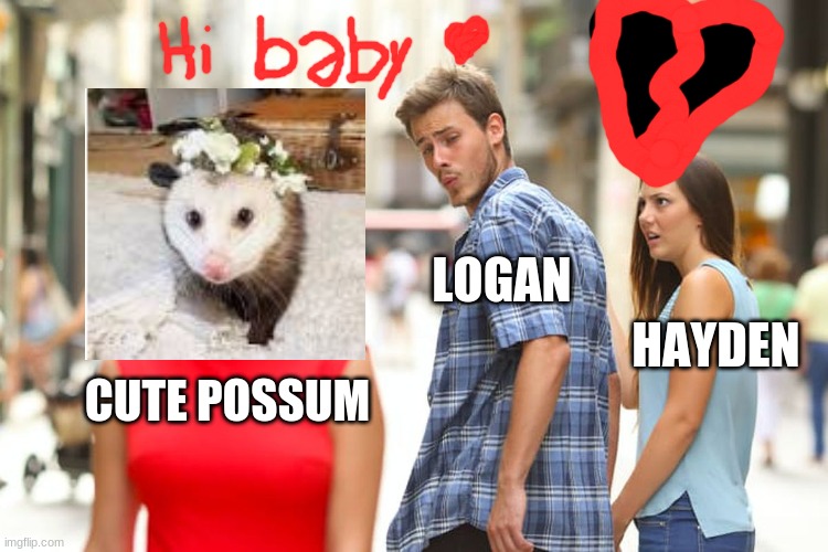Distracted Boyfriend | LOGAN; HAYDEN; CUTE POSSUM | image tagged in memes,distracted boyfriend | made w/ Imgflip meme maker
