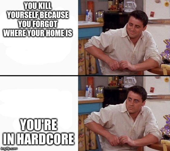 OOF |  YOU KILL YOURSELF BECAUSE YOU FORGOT WHERE YOUR HOME IS; YOU'RE IN HARDCORE | image tagged in comprehending joey,minecraft | made w/ Imgflip meme maker