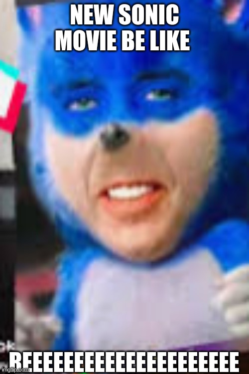 oof | NEW SONIC MOVIE BE LIKE; REEEEEEEEEEEEEEEEEEEEE | image tagged in funny | made w/ Imgflip meme maker