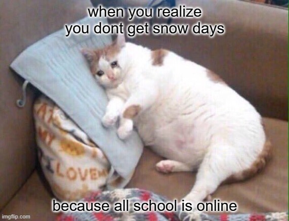 ? | when you realize you dont get snow days; because all school is online | image tagged in cat sad | made w/ Imgflip meme maker