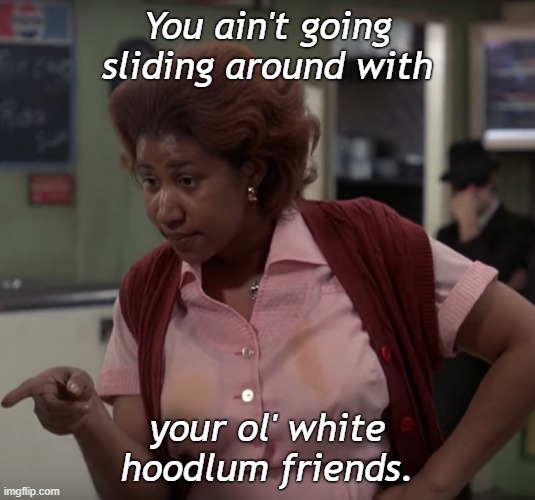 White Hoodlum Friends | You ain't going sliding around with; your ol' white hoodlum friends. | image tagged in aretha franklin | made w/ Imgflip meme maker