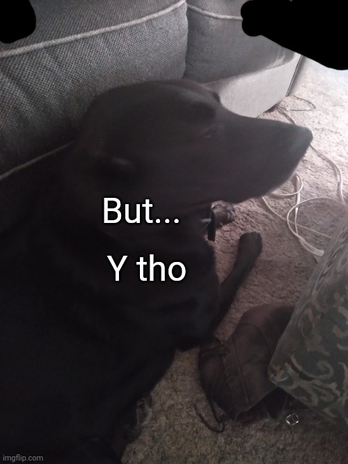 E | But... Y tho | made w/ Imgflip meme maker
