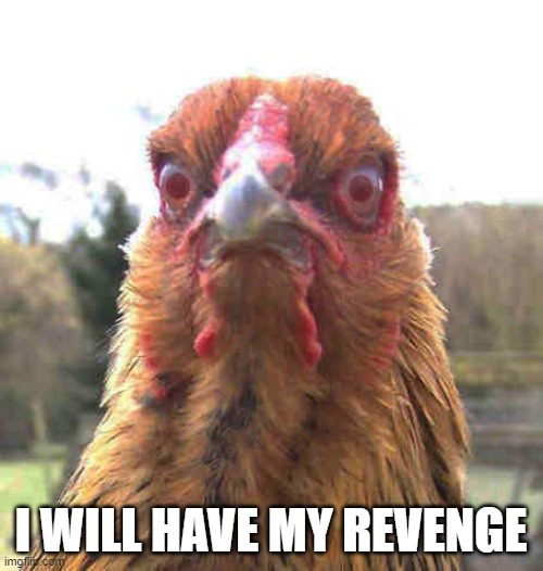 revenge chicken | I WILL HAVE MY REVENGE | image tagged in revenge chicken | made w/ Imgflip meme maker