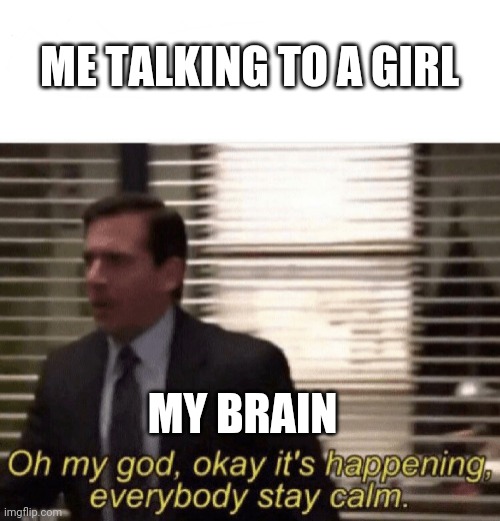 My brain | ME TALKING TO A GIRL; MY BRAIN | image tagged in oh my god okay it's happening everybody stay calm | made w/ Imgflip meme maker