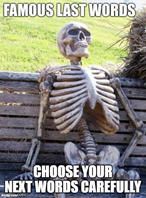 Famous Last Words | CHOOSE YOUR NEXT WORDS CAREFULLY | image tagged in famous last words | made w/ Imgflip meme maker