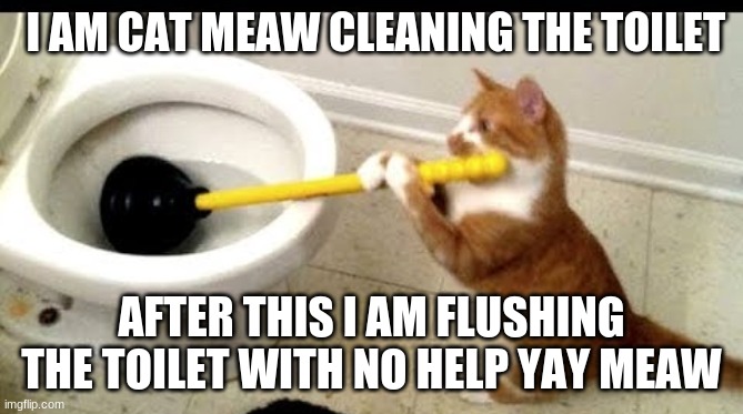 cat using a toilet plunger | I AM CAT MEAW CLEANING THE TOILET; AFTER THIS I AM FLUSHING THE TOILET WITH NO HELP YAY MEAW | image tagged in cat using a toilet plunger | made w/ Imgflip meme maker