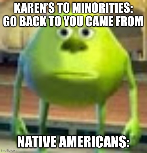 Sully Wazowski | KAREN’S TO MINORITIES: GO BACK TO YOU CAME FROM; NATIVE AMERICANS: | image tagged in sully wazowski | made w/ Imgflip meme maker