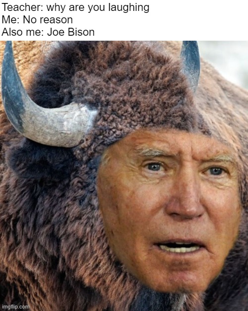 Teacher: why are you laughing
Me: No reason
Also me: Joe Bison | image tagged in political meme | made w/ Imgflip meme maker