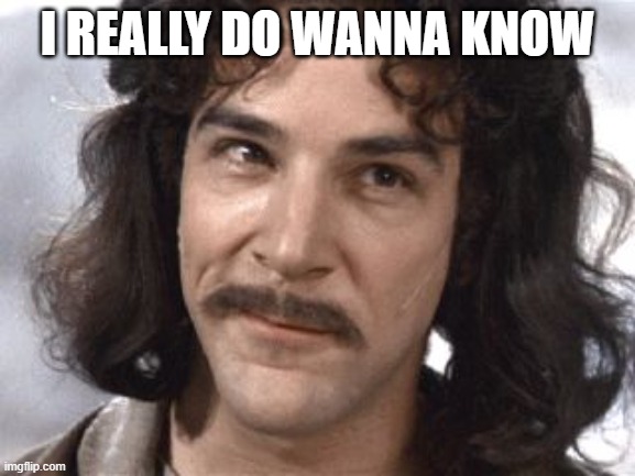 I Do Not Think That Means What You Think It Means | I REALLY DO WANNA KNOW | image tagged in i do not think that means what you think it means | made w/ Imgflip meme maker