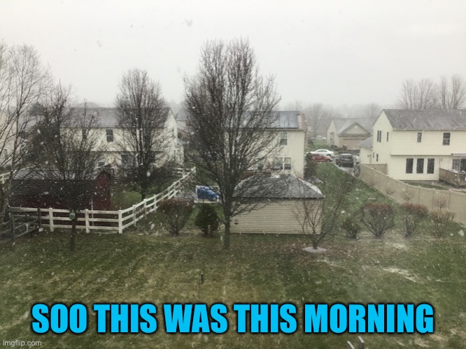 Yeah it snowed | SOO THIS WAS THIS MORNING | image tagged in lol,ooo,i love snow soooooo much | made w/ Imgflip meme maker