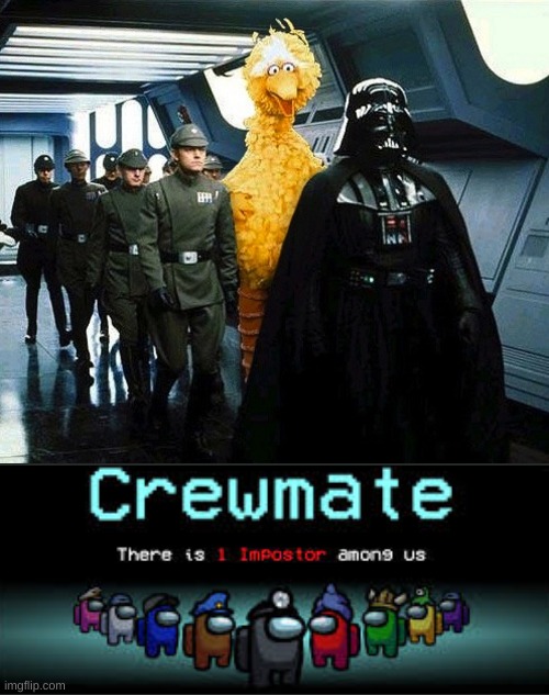 big bird joins the sith | image tagged in vader big bird,big bird,star wars,there is 1 imposter among us,among us,memes | made w/ Imgflip meme maker