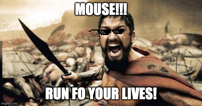 Mouse!! | MOUSE!!! RUN FO YOUR LIVES! | image tagged in memes,sparta leonidas | made w/ Imgflip meme maker