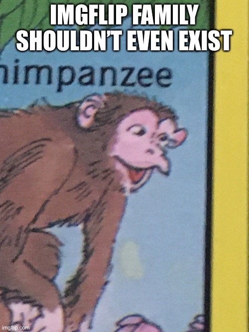 Chimpanzee pog | IMGFLIP FAMILY SHOULDN’T EVEN EXIST | image tagged in chimpanzee pog | made w/ Imgflip meme maker