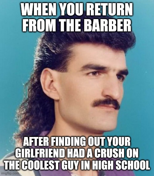 Cool Mullet | WHEN YOU RETURN FROM THE BARBER; AFTER FINDING OUT YOUR GIRLFRIEND HAD A CRUSH ON THE COOLEST GUY IN HIGH SCHOOL | image tagged in mullet,cool,haircut | made w/ Imgflip meme maker