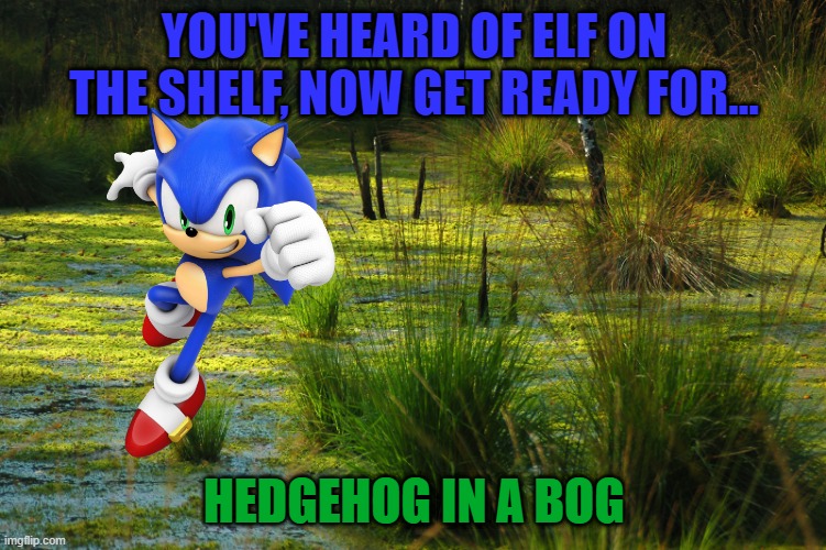 Bog zone, act 1 GO! | YOU'VE HEARD OF ELF ON THE SHELF, NOW GET READY FOR... HEDGEHOG IN A BOG | image tagged in elf on the shelf,sonic the hedgehog,bog | made w/ Imgflip meme maker