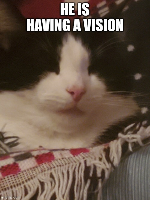 HE IS HAVING A VISION | made w/ Imgflip meme maker