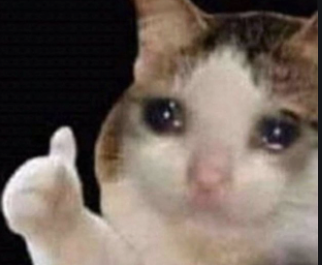 Cat crying with thumbs up Blank Meme Template