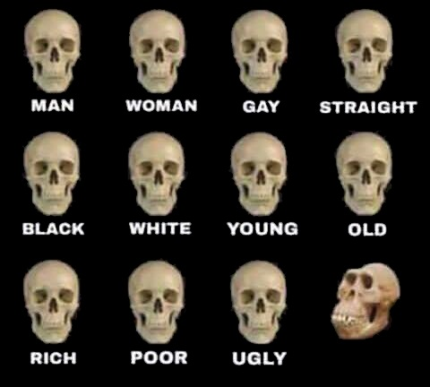 High Quality Types of skull Blank Meme Template