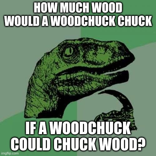 Philosoraptor | HOW MUCH WOOD WOULD A WOODCHUCK CHUCK; IF A WOODCHUCK COULD CHUCK WOOD? | image tagged in memes,philosoraptor | made w/ Imgflip meme maker