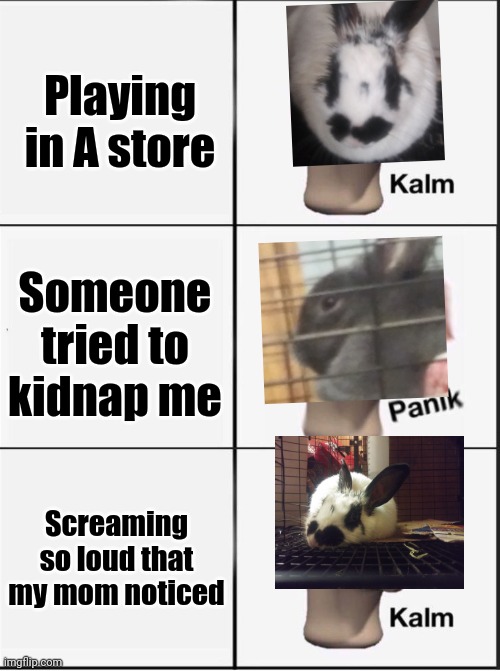 This happened to me before :P (rabbit kalm panik kalm) | Playing in A store; Someone tried to kidnap me; Screaming so loud that my mom noticed | image tagged in reverse kalm panik | made w/ Imgflip meme maker