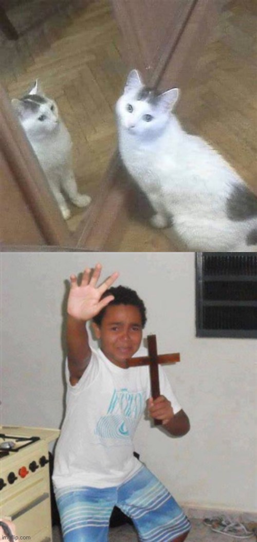 Someone get the Holy Water, nOw!.! | image tagged in cross kid,mirrors,cats,cursed image | made w/ Imgflip meme maker