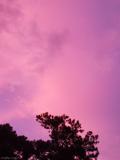 It was so pretty that day- 1/6 | made w/ Imgflip meme maker