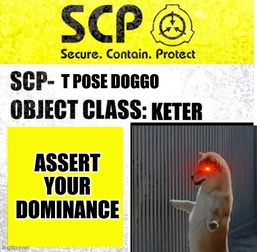 SCP Sign Generator | T POSE DOGGO; KETER; ASSERT YOUR DOMINANCE | image tagged in scp sign generator | made w/ Imgflip meme maker