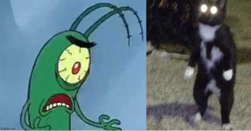 Lord help us all | image tagged in plankton oh f ck,oh no,cursed cat | made w/ Imgflip meme maker
