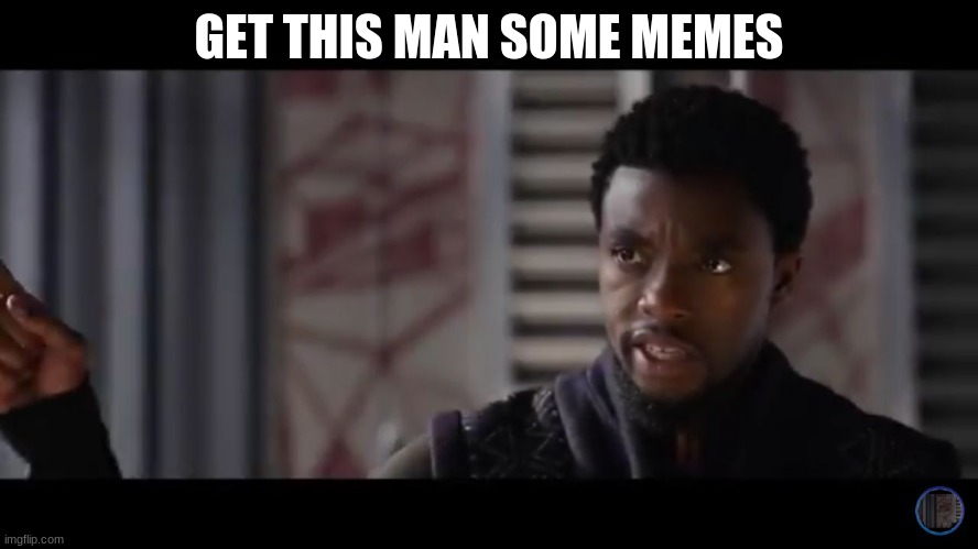Black Panther - Get this man a shield | GET THIS MAN SOME MEMES | image tagged in black panther - get this man a shield | made w/ Imgflip meme maker