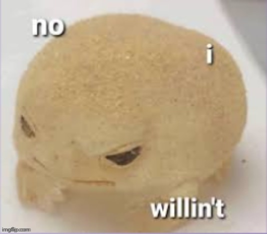 no i willin't | image tagged in no i willin't | made w/ Imgflip meme maker