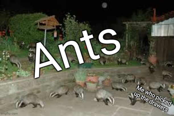 Oof | Ants; Me who picked up the drawers | image tagged in cursed image,cursed,animals | made w/ Imgflip meme maker